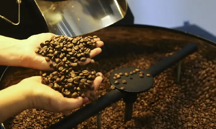 Exportação de café do Brasil cai em 2025, mas bate recorde em receita