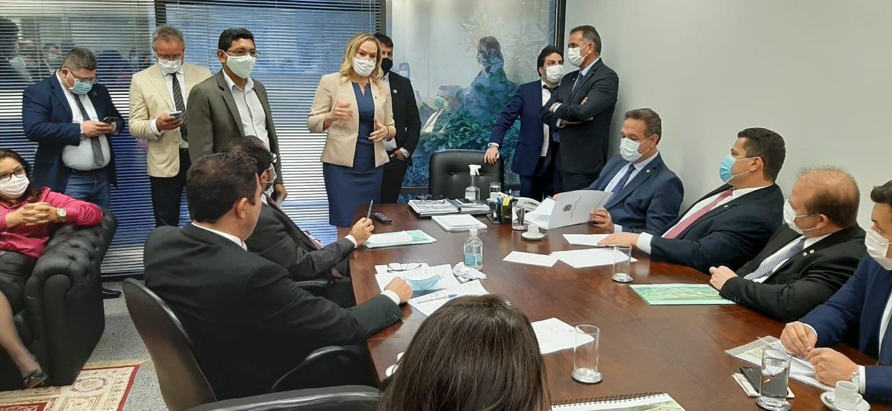 Busca de recursos em Brasília para demandas urgentes