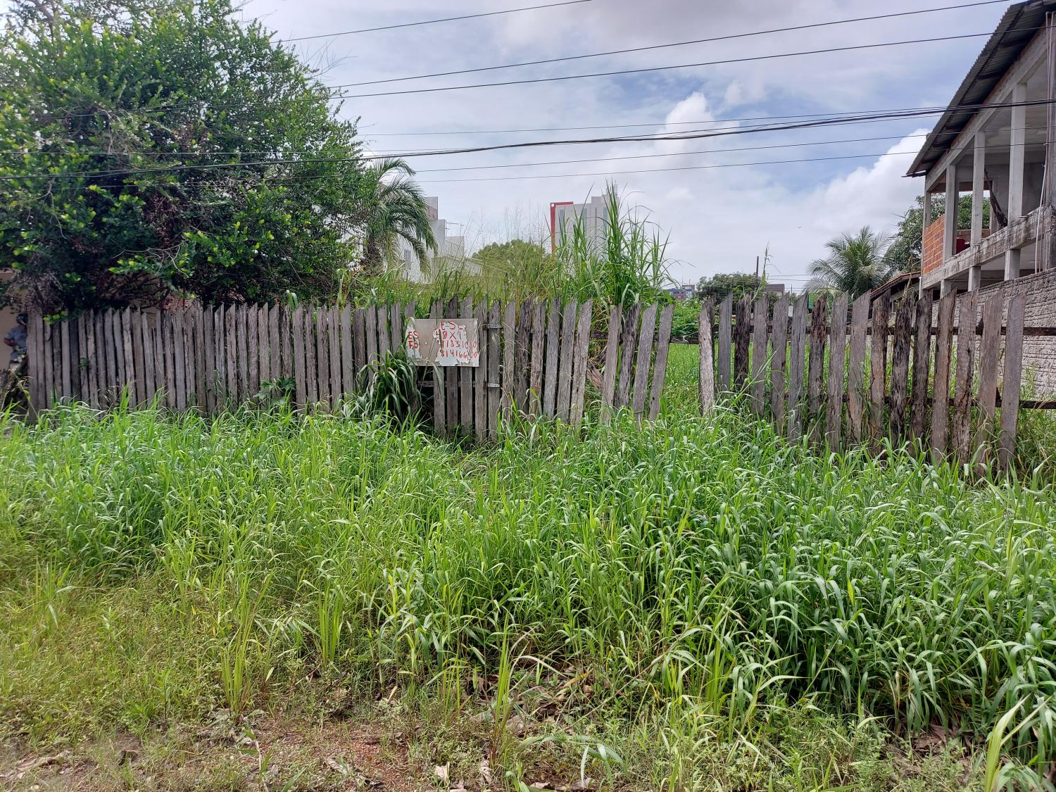 Prefeitura de Macapá realiza fiscalização em terrenos baldios