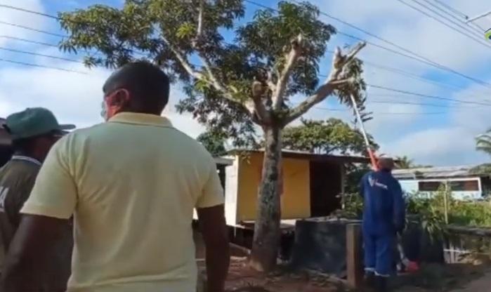 Fiscalização dos canteiros de obras e podagens para melhorar iluminação pública são efetivadas