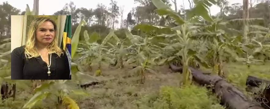 Parceria da Embrapa-Ap com a Escola Família Agrícola da Perimetral Norte.