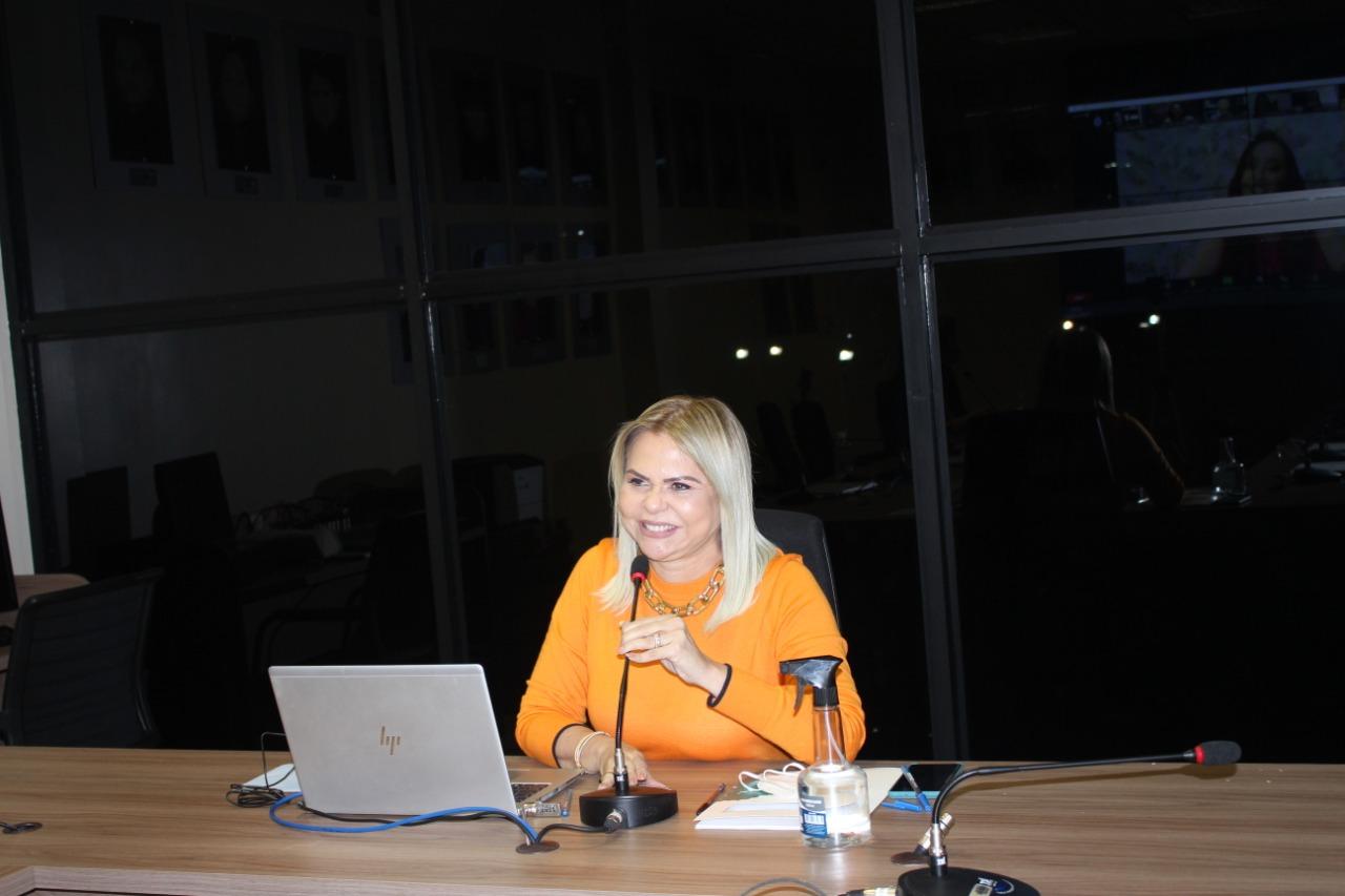 PGJ do MP-AP participa de diálogo virtual com procuradoras-gerais de Justiça do Brasil em comemoração ao Dia da Mulher