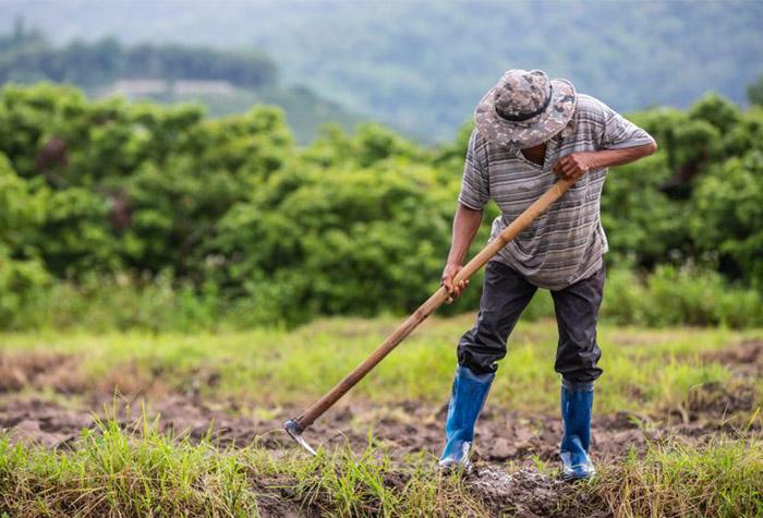 Projeto de lei pretende regularizar 300 mil propriedades rurais