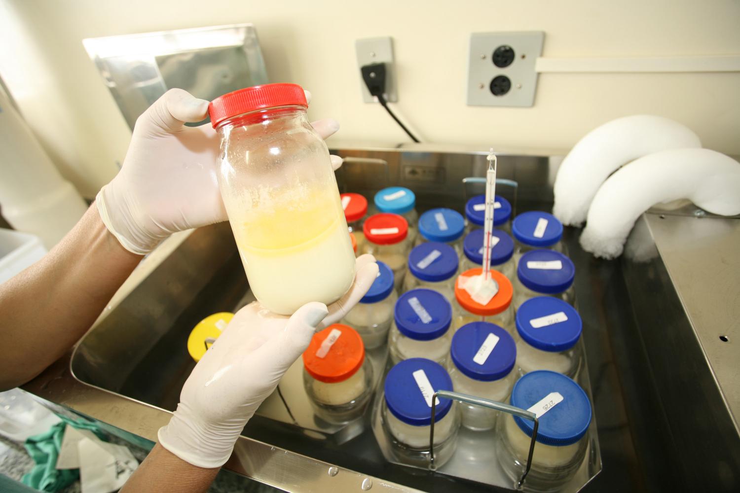 Fiocruz anuncia que IFF será colaboradora da OMS no fortalecimento dos bancos de leite humano