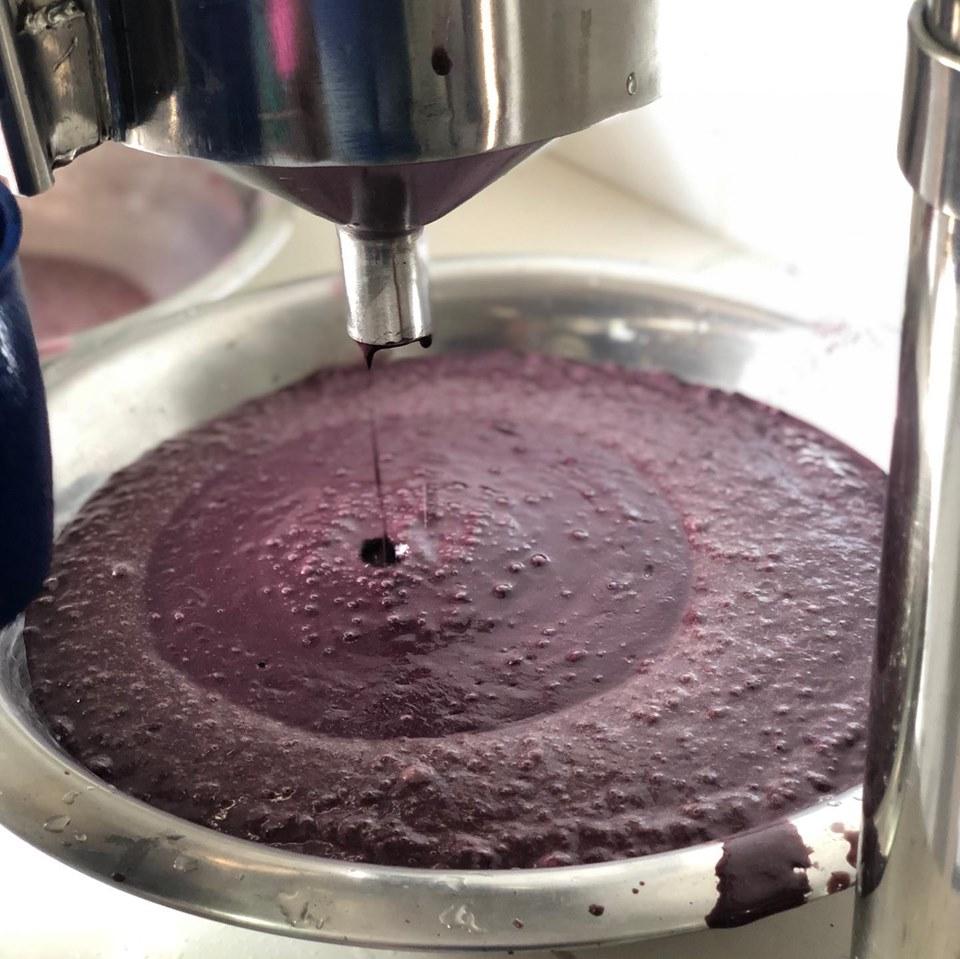 A&ccedil;a&iacute; de batedeira_foto Robert Araujo