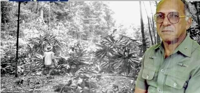 Walter do Carmo: o pioneiro que levou a BR 156 até o Oiapoque.