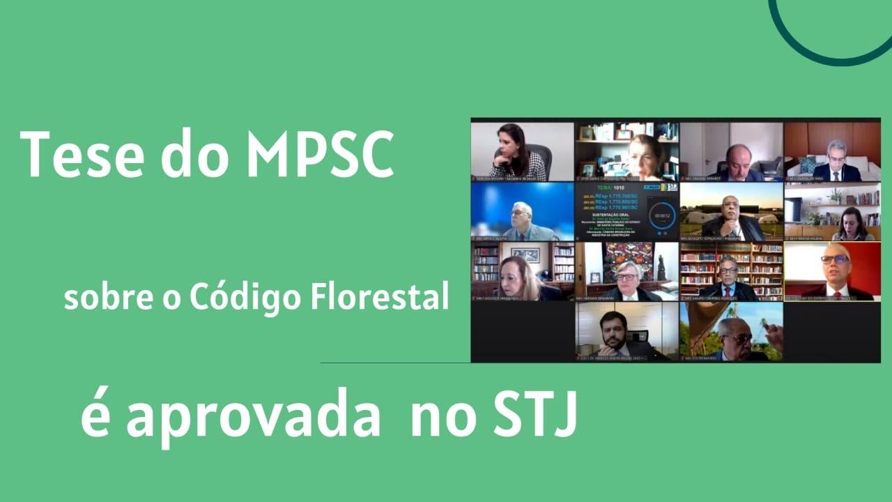 STJ decidiu que em áreas urbanas consolidadas valem as APPs do Código Florestal. Entenda os fundamentos da decisão