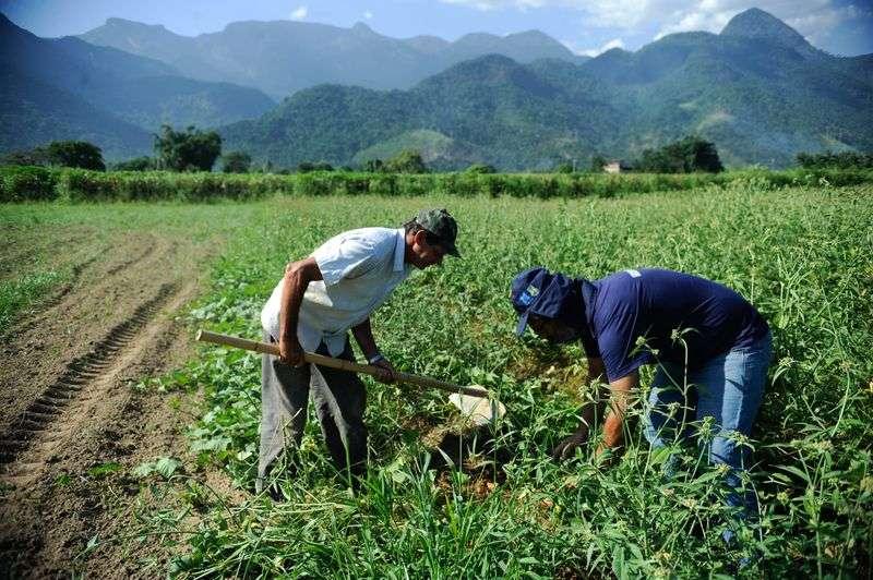 Câmara aprova projeto de socorro a agricultores familiares na pandemia