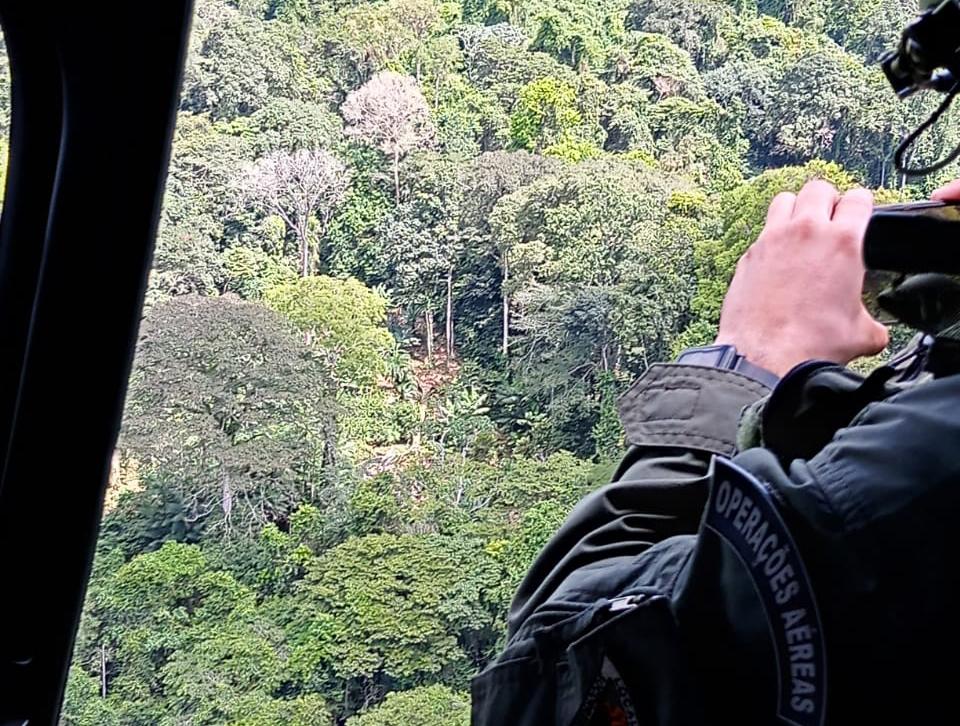 Corpo de Bombeiros confirma que queda de árvore matou 7 pessoas no Vale do Jari 