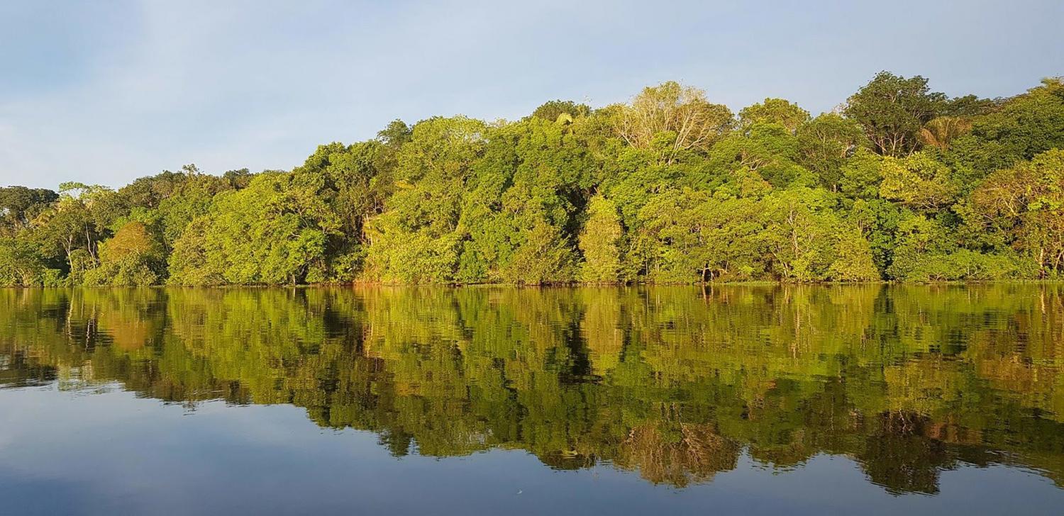 Dia Mundial do Meio Ambiente faz alerta pela restauração de ecossistemas 