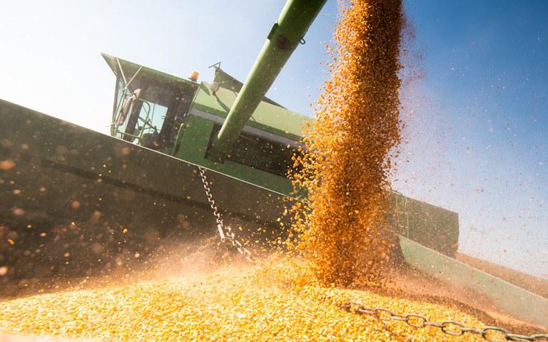 Ministério da Agricultura lança Observatório da Agropecuária Brasileira