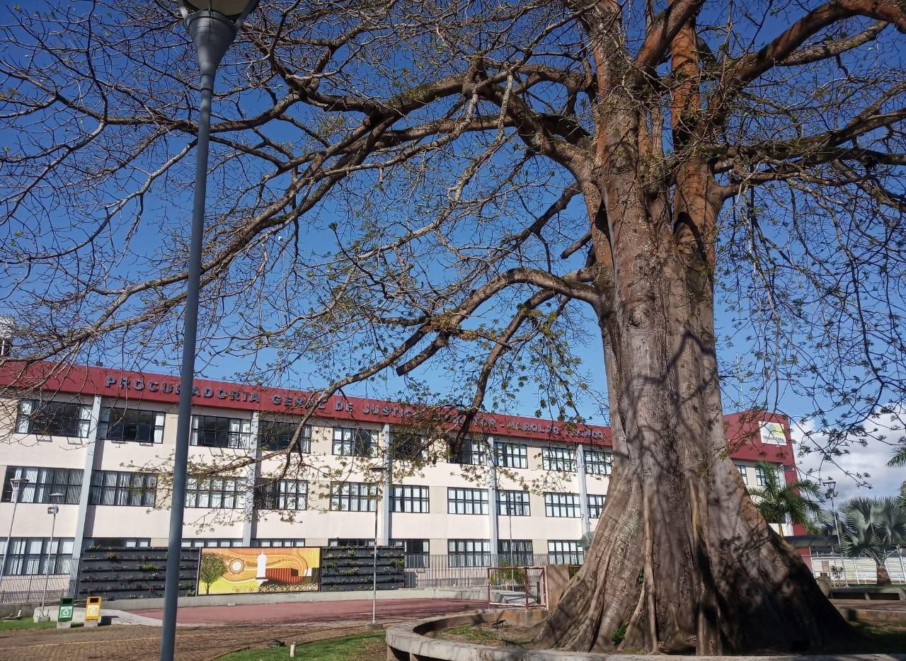 Ministério Público do Amapá prorroga o regime especial de teletrabalho e prazos excepcionais de atendimento ao público