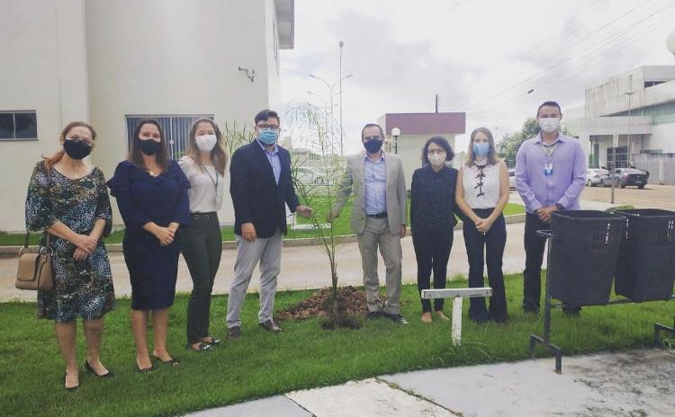 Semana do Meio Ambiente: plantio de árvore marca o início da programação e a parceria com o Sebrae e lançamento de livro