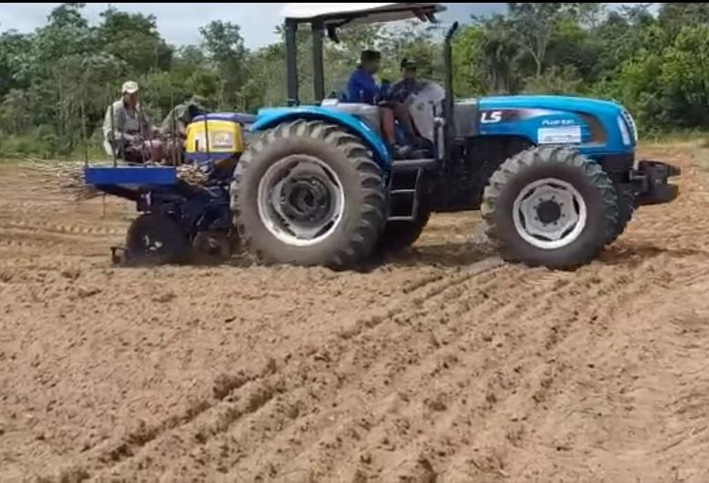 DOMINGO DE TRABALHO NA AGRICULTURA