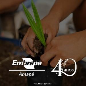 Live comemorativa Embrapa Amapá. 40 anos na Linha do Equador
