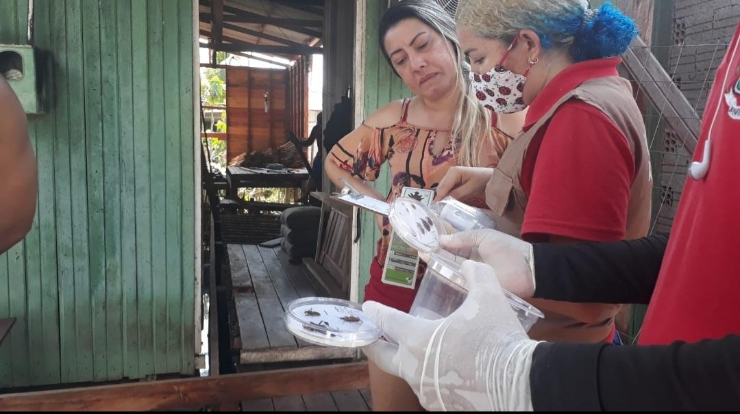 Agentes de endemias orientam população sobre doença de chagas e como identificar hospedeiros