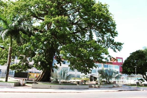 MP-AP acompanha Decreto Estadual