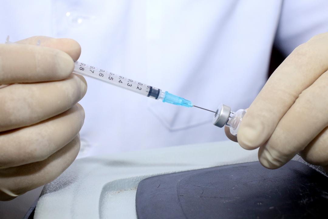 Vacinação contra Covid-19 oferta a 3ª dose para idosos a partir de 84 anos nesta segunda-feira (20)