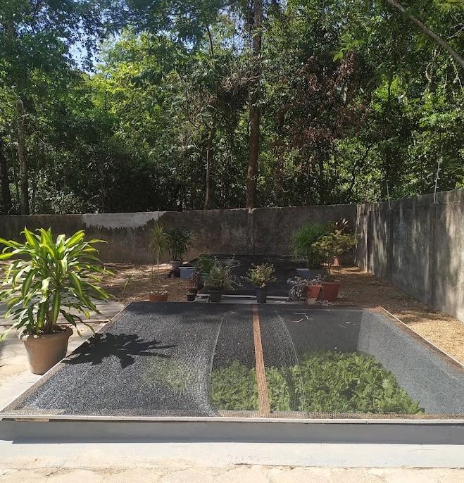 Embrapa Amapá inaugura sistema para reaproveitar água em experimentos de aquicultura