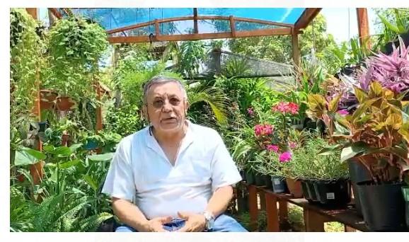Livro sobre floricultura para diversificar agronegócio na Amazônia será lançado nesta sexta, 15/10