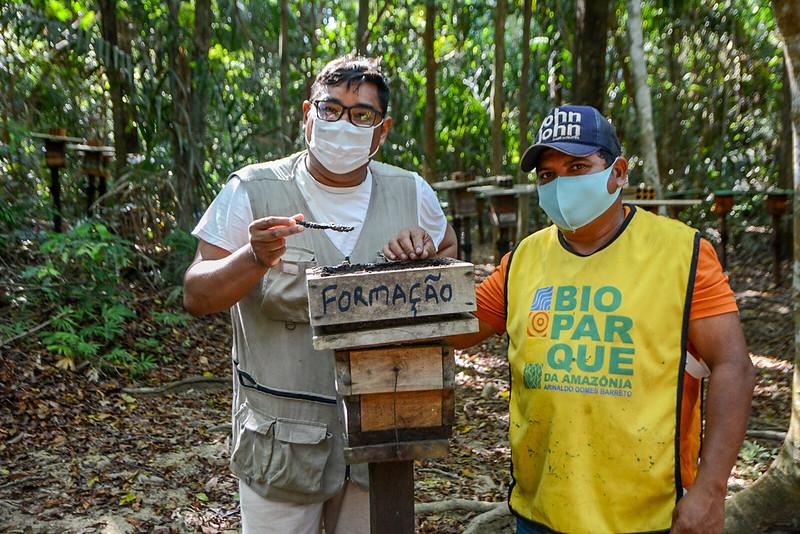 Meliponário do Bioparque conta com aproximadamente 200 mil abelhas