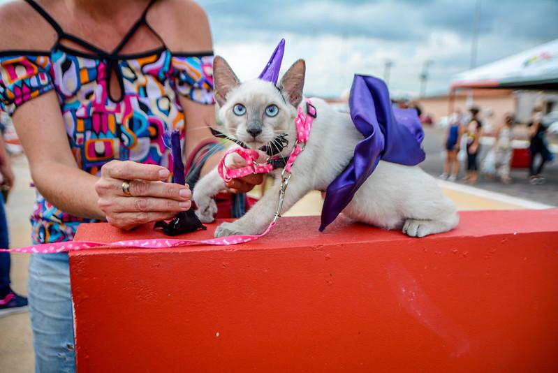 Diversão à fantasia anima pets e tutores no primeiro HallowPet de Macapá