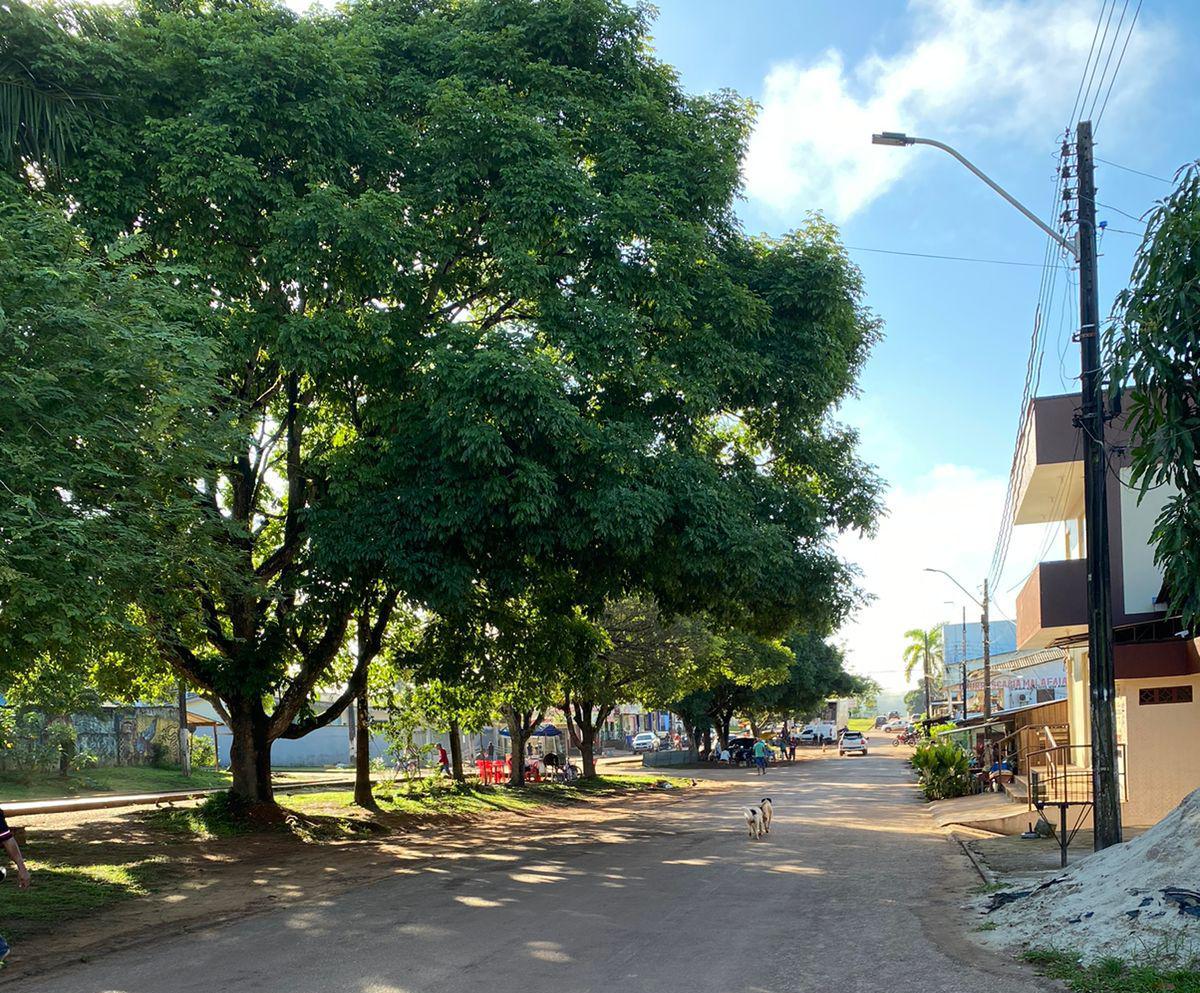 MP-AP questiona supressão de árvores em importante logradouro de Oiapoque