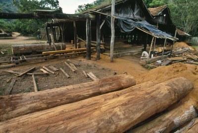 MPF obtém condenação de empresário