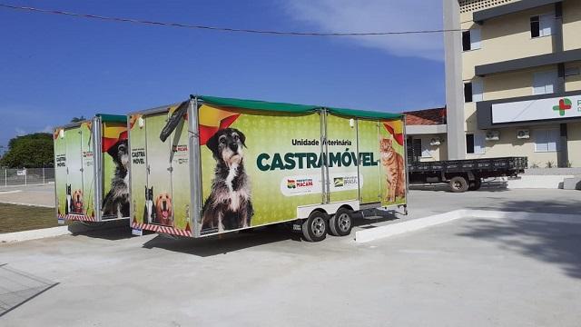 Prefeitura anuncia cirurgias do Castramóvel