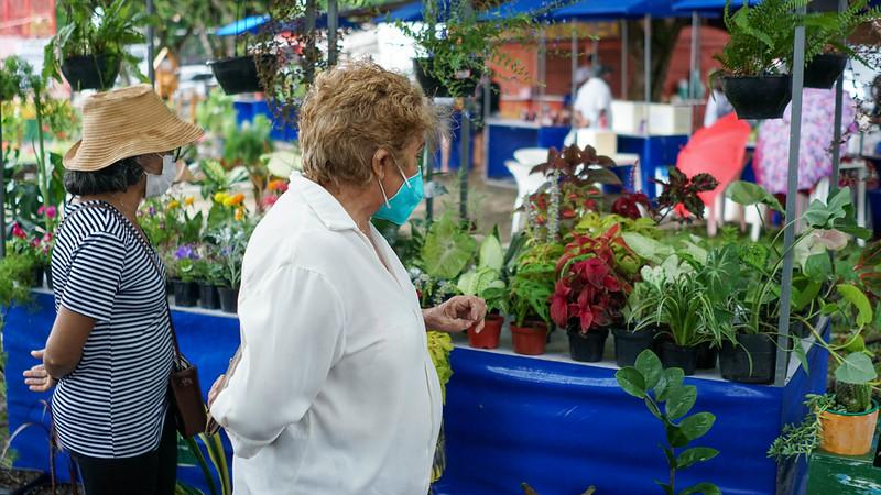 Feira Agricultura e Arte: última edição do ano trouxe incentivo aos pequenos produtores