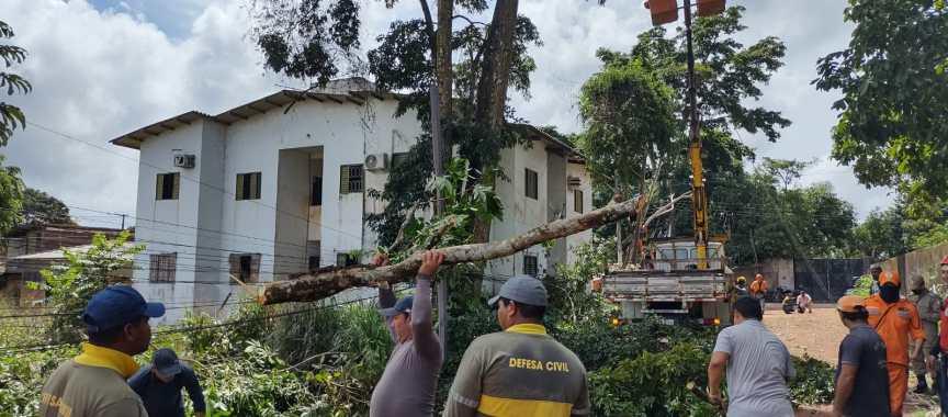 Prefeitura realiza supressão de árvore