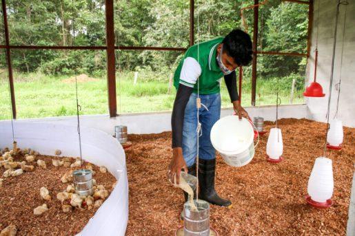 Proaves: conheça a rotina de cuidado com os animais na Escola Família Agrícola do Pacuí