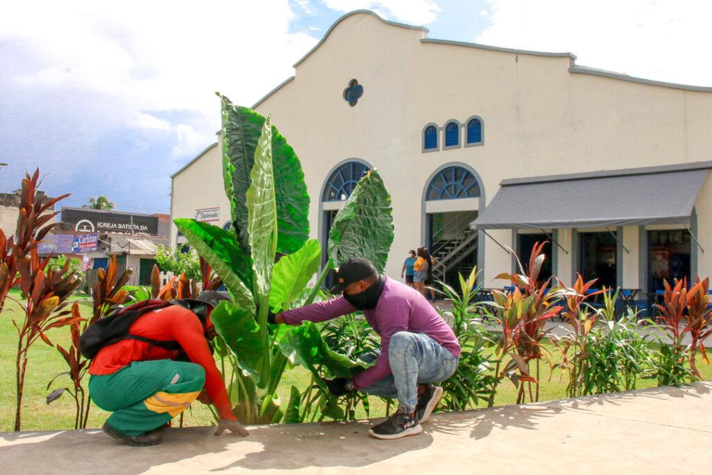 Mercado Central ganha paisagismo em jardim com diversas espécies de plantas ornamentais