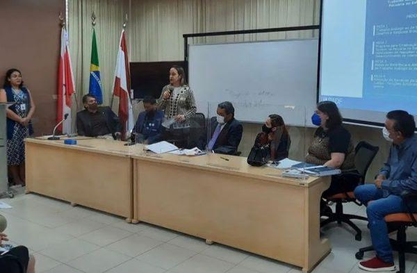 MPT participa de colóquio internacional sobre trabalho análogo ao de escravo no Pará