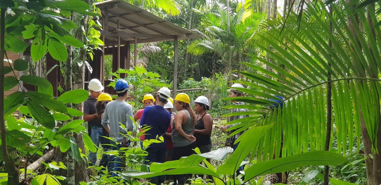 Projeto de bioeconomia da Embrapa Amapá recebe financiamento do Banco da Amazônia