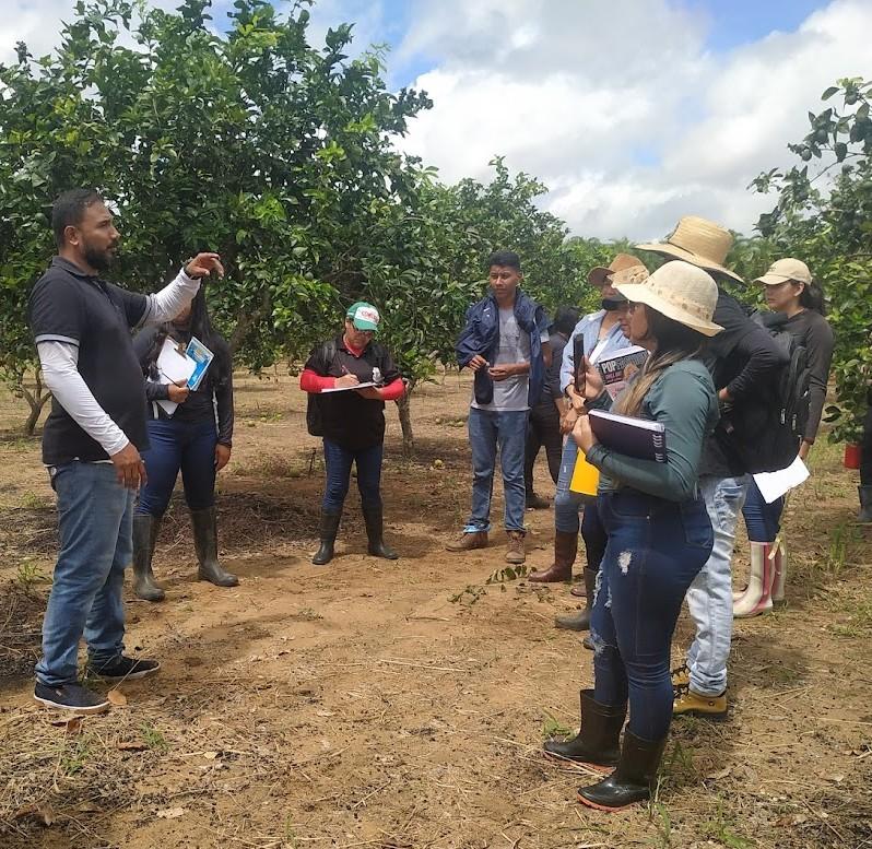 Universitários de Agronomia e Florestal exercitam técnicas experimentais no Campo da Embrapa Amapá