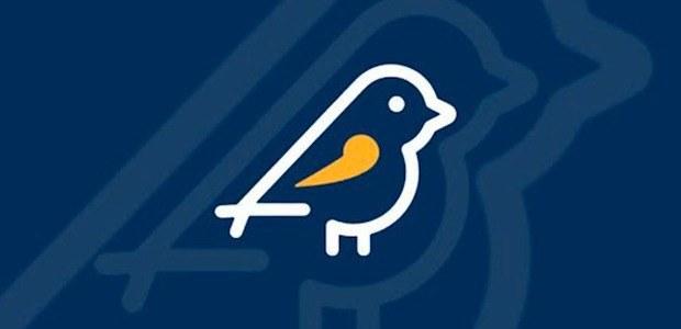 Pardal recebe mais de 1,3 mil denúncias de propaganda eleitoral irregular em uma semana de funcionamento