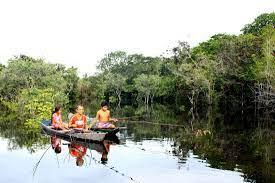 MPF garante na Justiça direito à consulta prévia de comunidades tradicionais de Oiapoque (AP)