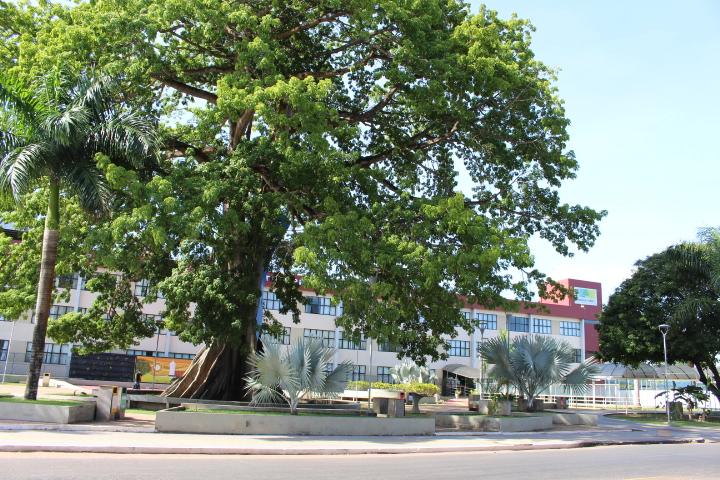 PGJ do MP-AP institui comissão para acompanhar cumprimento de decisão do STF