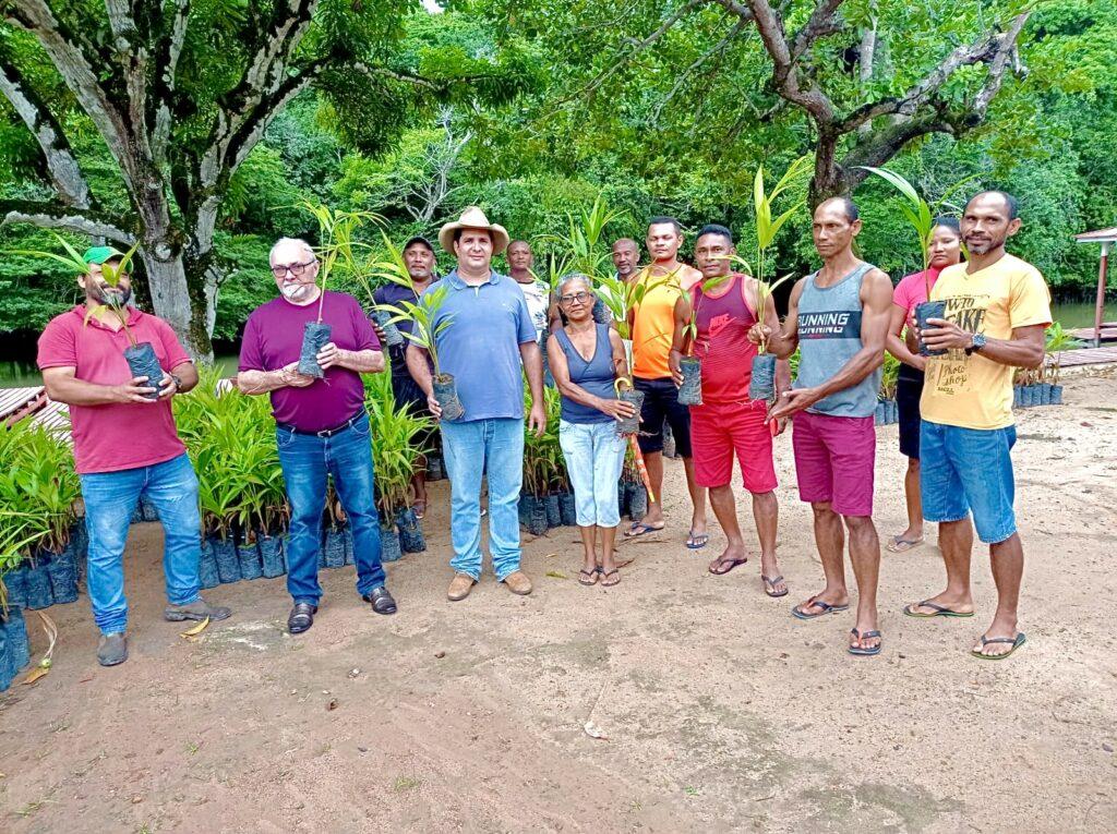 Prefeitura de Macapá fortalece economia de agricultores familiares através no cultivo do açaí