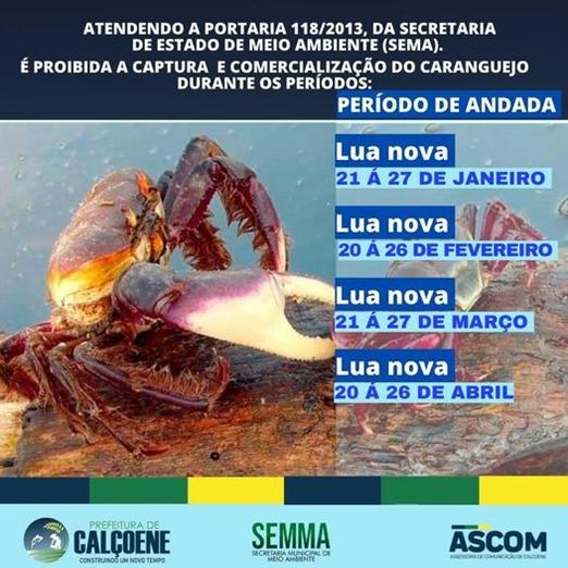 A Secretaria Municipal de Meio Ambiente de Calçoene alerta para o período de defeso do caranguejo.