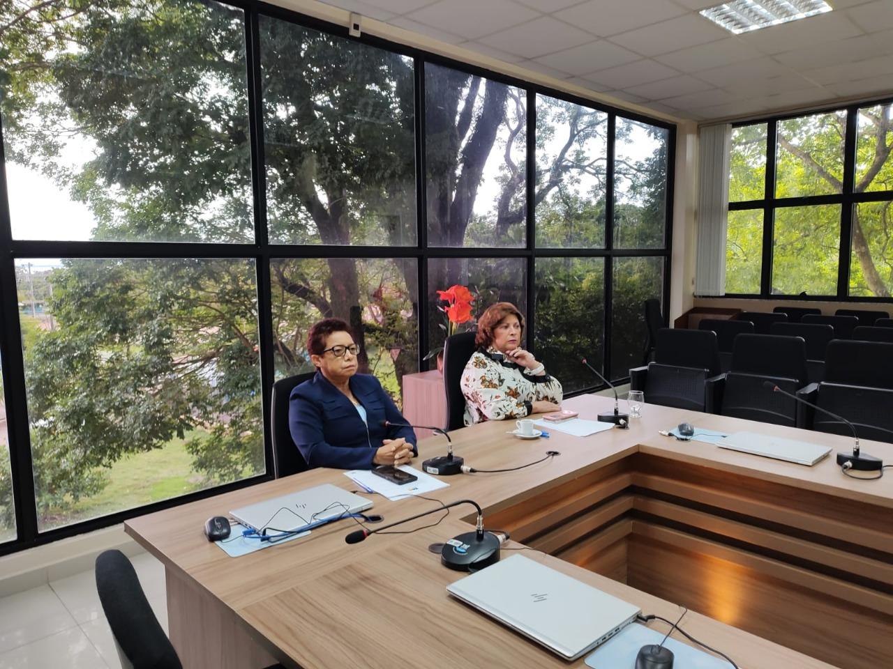 Membros do MP-AP participam de reunião do CNPG