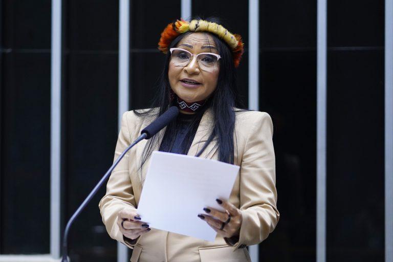 Deputada Silvia Waiãpi pede desenvolvimento econômico de terras indígenas em sessão solene
