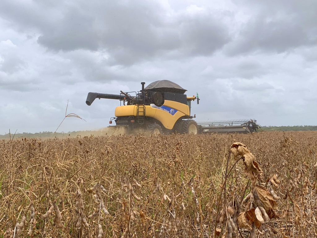 PMM incentiva a agricultura e produção de grãos de soja tem aumento de mais de 77%