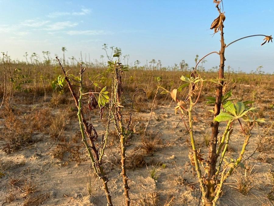 Pela primeira vez, Amapá integra mapa nacional de monitoramento de secas