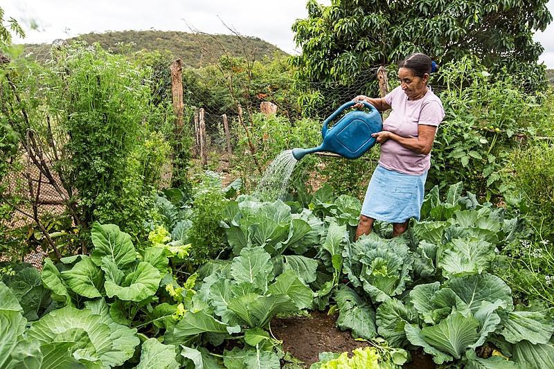 Agricultura familiar em Tartarugalzinho: Chamada Pública abre inscrições para 2024