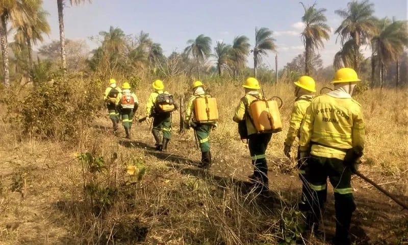 Prefeitura de Amapá e Ibama Prevfogo reforçam parceria para processo seletivo de brigadistas