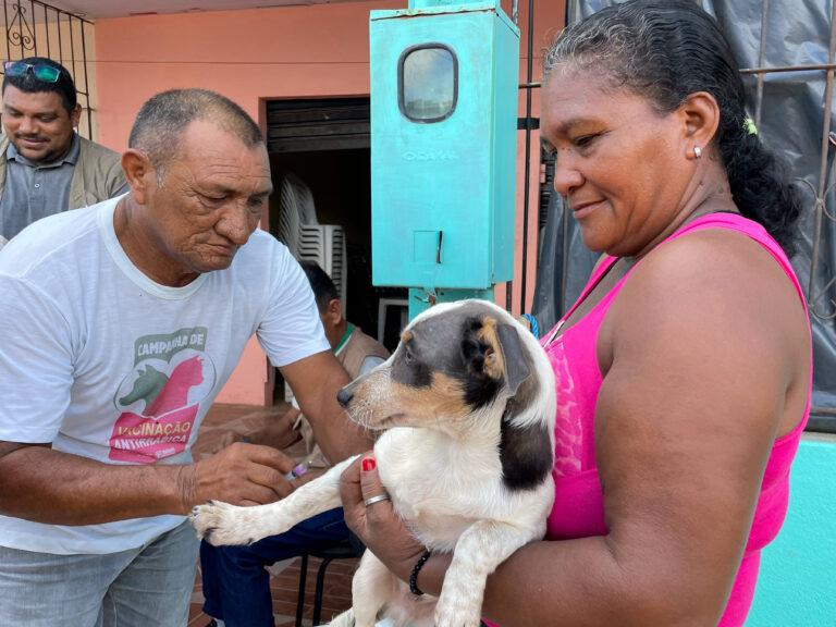 Vacinação Antirrábica Itinerante segue na Zona Norte de Macapá; cronograma vai de 13 a 17 de maio