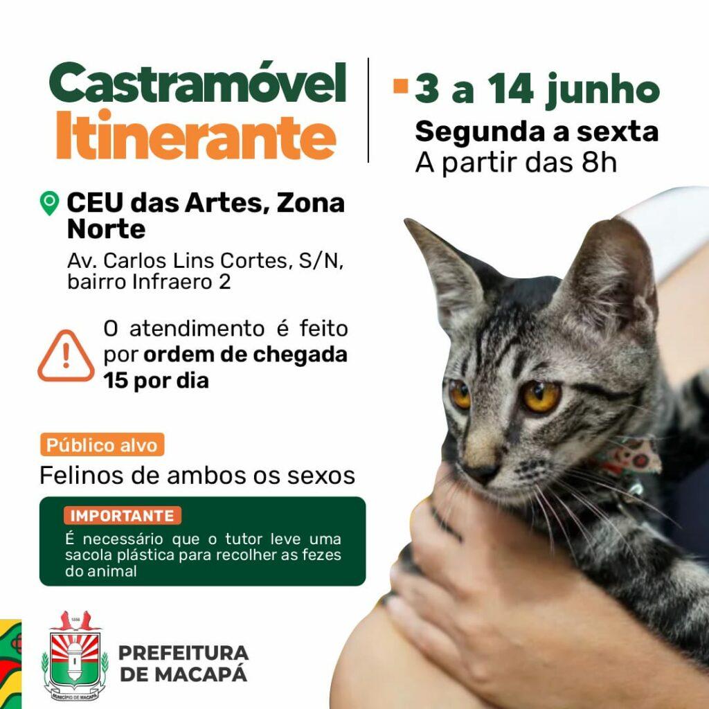 Alguns dos requisitos para a cirurgia são que gatos tenham idade mínima de seis meses até a idade máxima de cinco anos e peso mínimo de dois quilos.