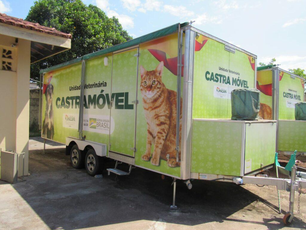 Castramóvel Itinerante da PMM segue nos atendimentos aos felinos de ambos os sexos